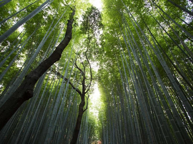 Kingsoft App Builder